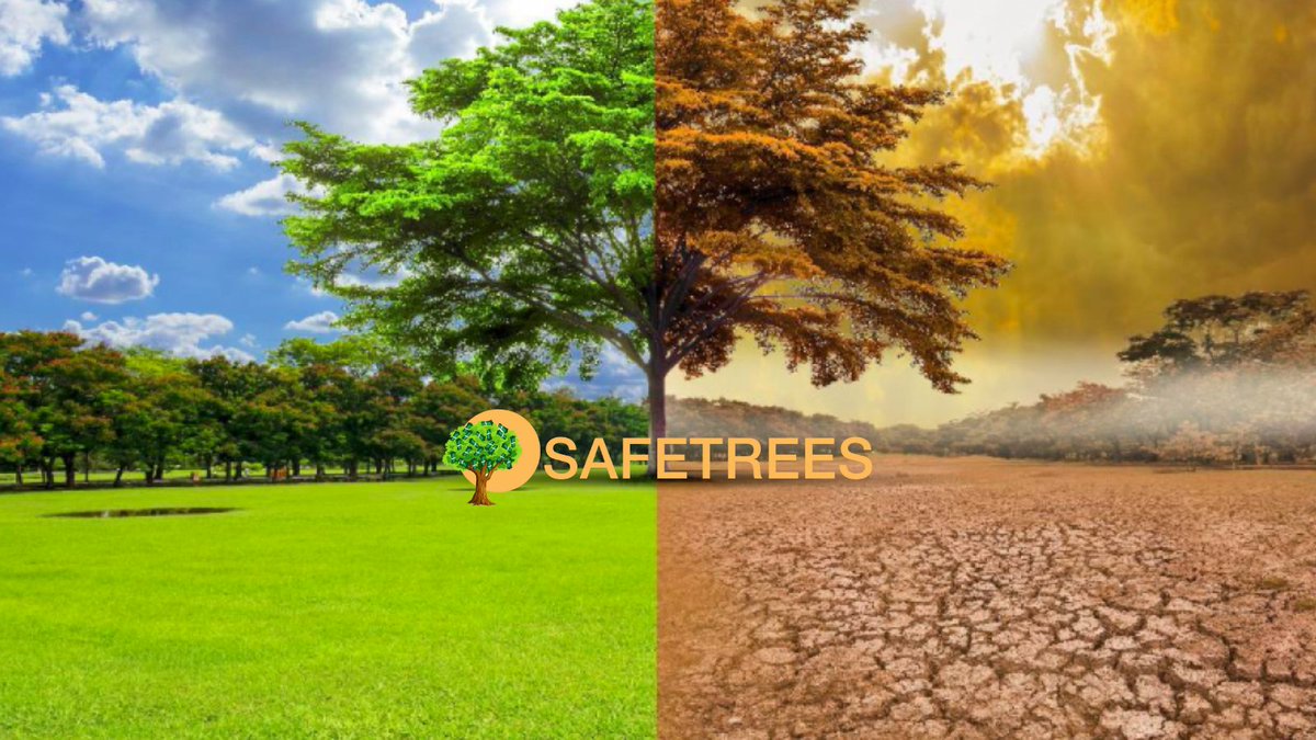 Trees_token's tweet photo. "THERE IS A 93% CHANCE THAT GLOBAL WARMING WILL EXCEED 4C BY 2100." - Climate scientists! TREES Fight Global Warming!
#ClimateCrisis #ClimateActionNow #Trees2Gate #SAFETREES #TreesArmy
@SBF_FTX https://t.co/HCurs6XRoz