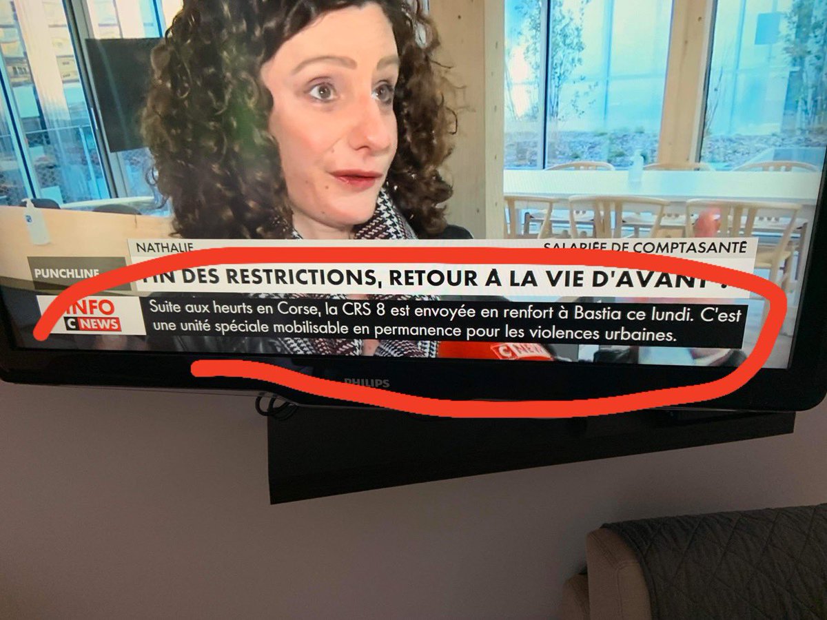 kissing pigs tweet media