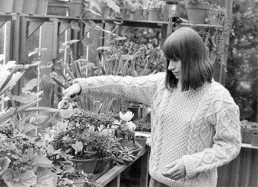 Happy Birthday to Rita Tushingham, 80 today 