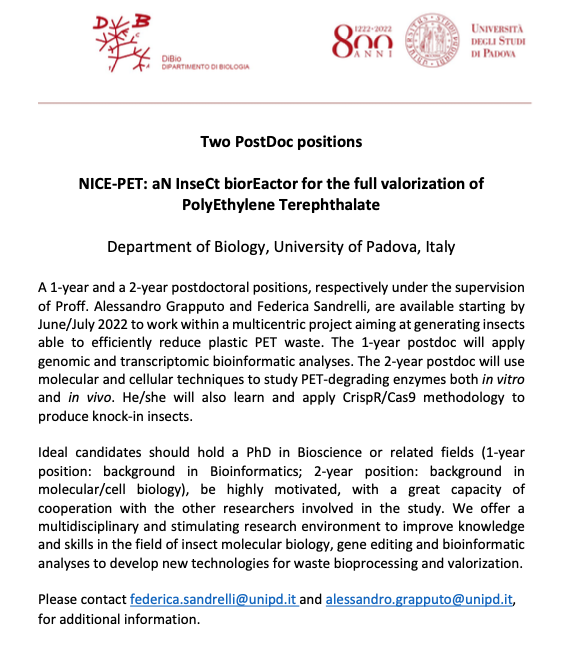 DiBio_UniPD's tweet photo. 📢📢A 1-year and a 2-year postdoctoral positions are available starting by June/July 22 to work at #DiBio within a project aiming at generating #insects able to reduce #plasticwaste. Further information: federica.sandrelli@unipd.it and alessandro.grapputo@unipd.it
Please RT https://t.co/QIIcBdE4HA