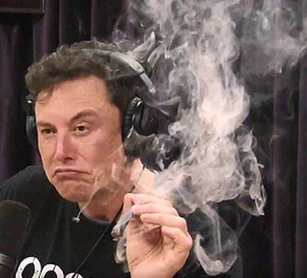 Gerbert UBKV tweet media