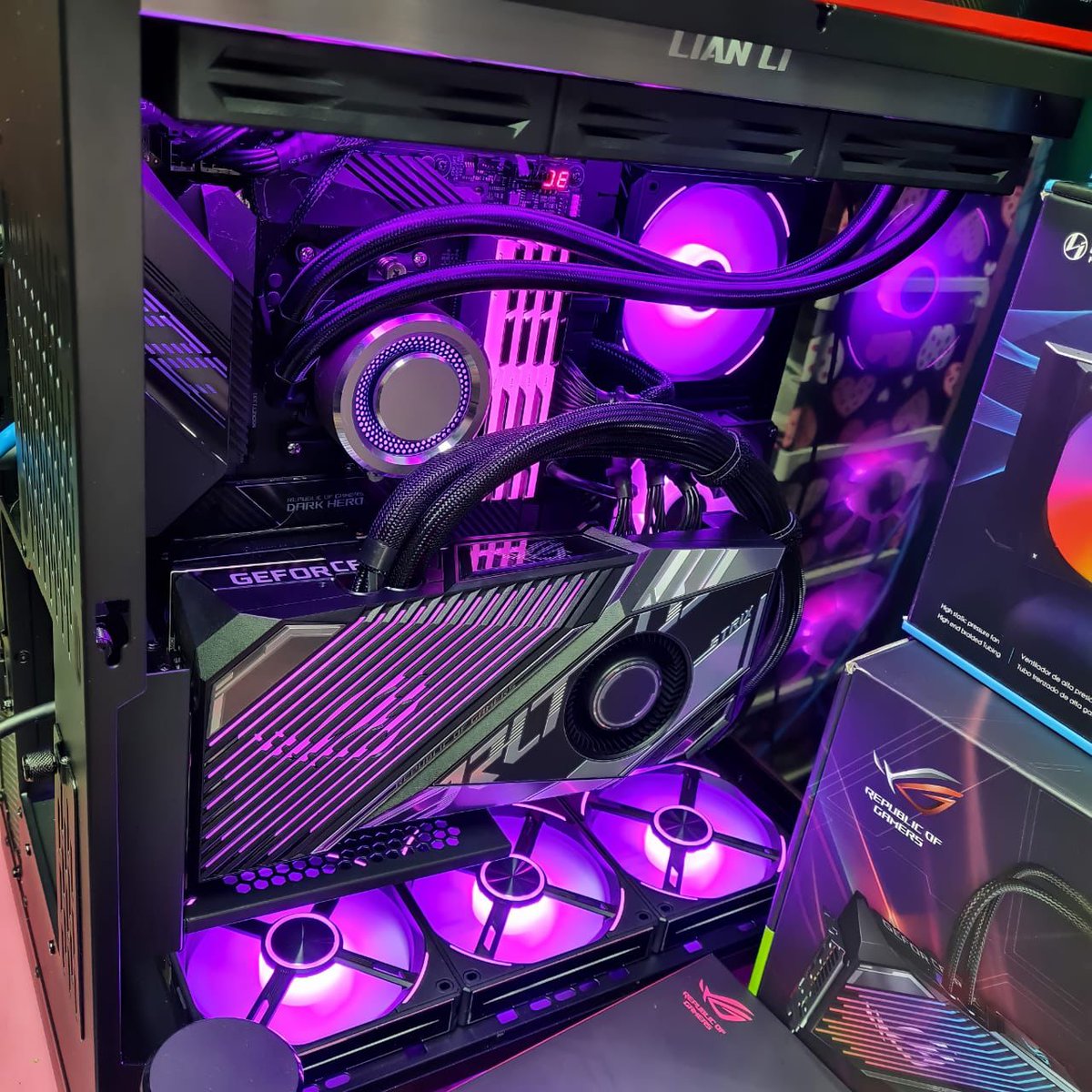 Nos 𝑫𝒂𝒏𝒚🌸 tweet media