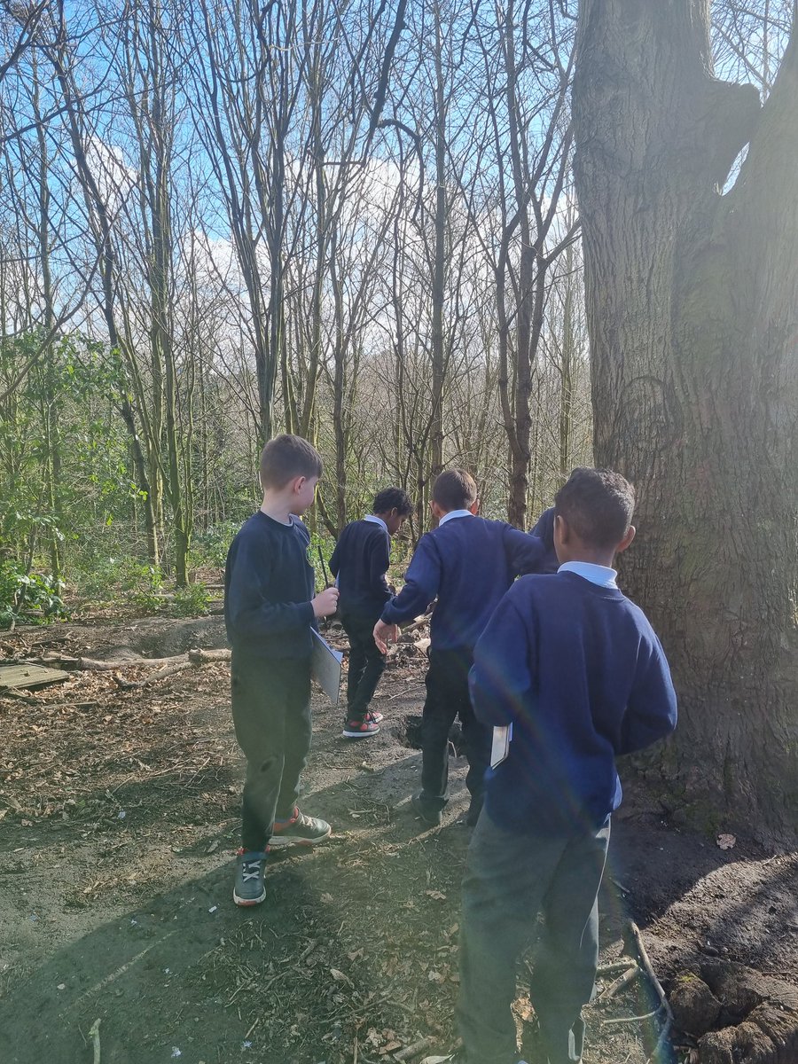 _MissBragg's tweet photo. Today we started Bristish Science Week! 🔬🧪🔭 The theme this year is Growth!🌱📈
Year 4, explored the woods today, finding out more about trees, why they are important and what lives in them! @MayParkPri @Ben_3eyes https://t.co/zpMt9bXDnw