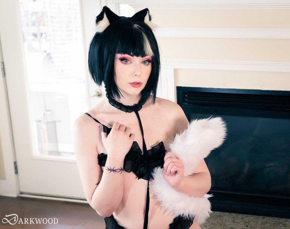 softcorerose's tweet photo. Did you know I have this cat set up on @darkwood_photo 🐈‍⬛ it’s not been posted anywhere else 😏 https://t.co/3WtzVv0uph