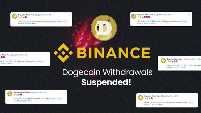 cb_d0ge's tweet photo. Shady Binance Suspends #Dogecoin Withdrawals Again! 
@binance
 
@cz_binance
 
@mishaboar
 
@elonmusk

https://t.co/EOUDphm4Yc https://t.co/ELrdtoX7Y1