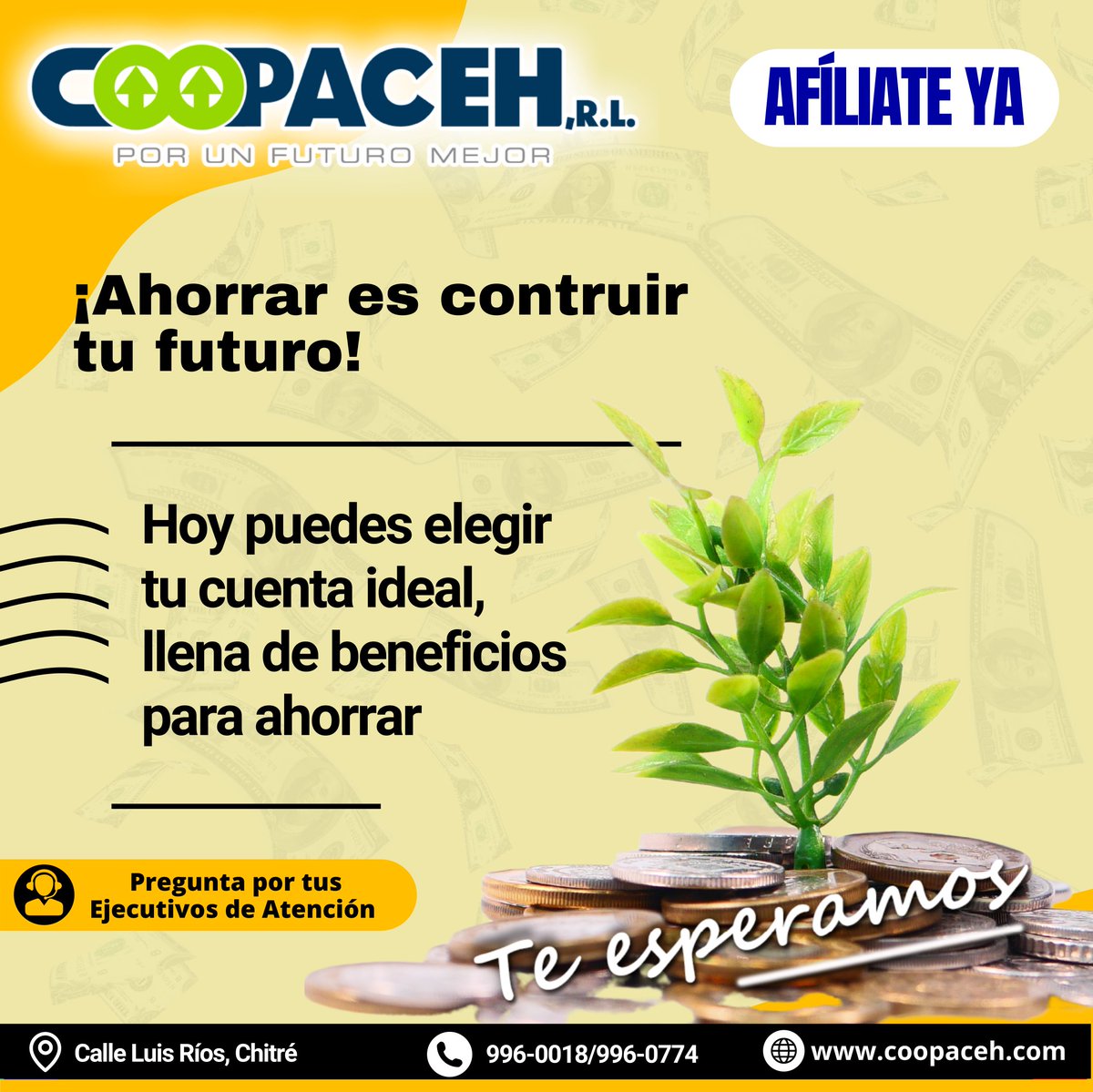 Abre tu cuenta de ahorros, corrientes o depósito a plazo fijo en COOPACEH, R.L.
En la Cooperativa COOPACEH, R.L. te ofrecemos las mejores tasas de interés del mercado. Visítanos, es un placer atenderte.
#coopacehcontigo #panama #chitre