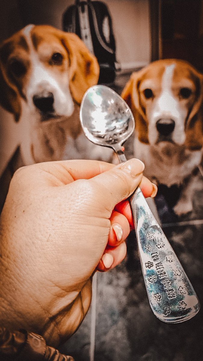 THE DOGS DINNER!

These two cuties are waiting for their dinner from one of our personalised doggy dinner spoons. We also have forks, teaspoons &amp; knives available.

Shop Now: thehappypawscompany.uk/product/dinner…

#dogsoftwitter #twitterdogcommunity #dinnertime #dogsdinner