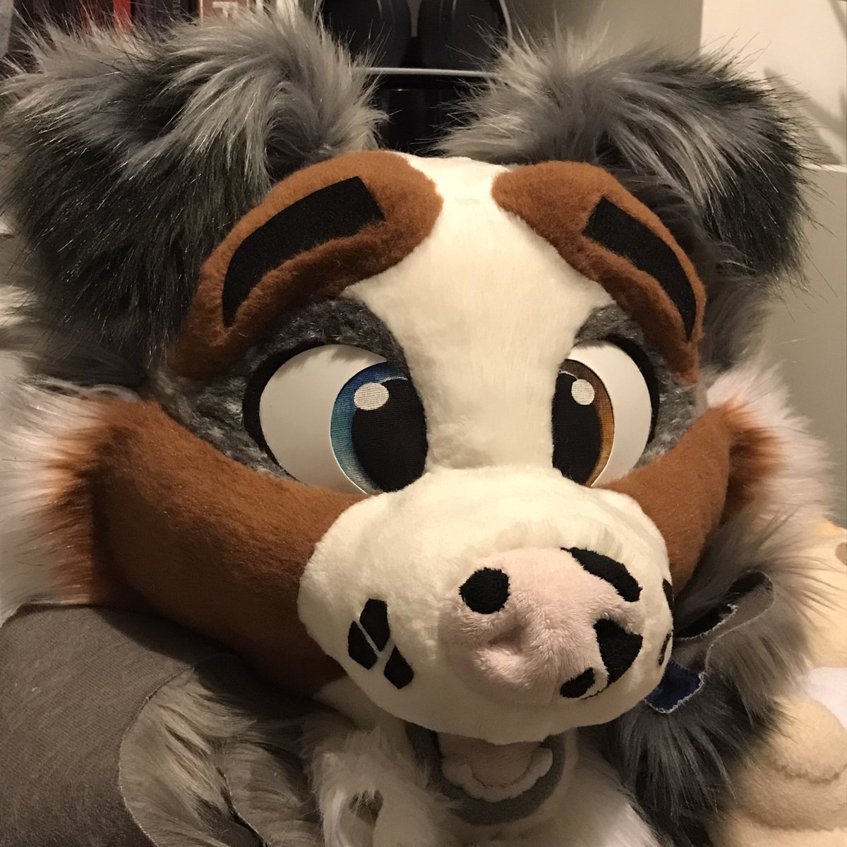 searathewolf's tweet photo. Please give a warm welcome to Bruni Blue! He’s in the final stages of construction now. Should be debuting at next Month’s local meets! https://t.co/PDxXuS7ocB