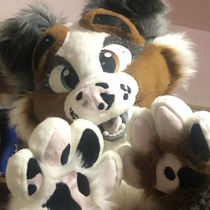 searathewolf's tweet photo. More photos of him before he was glued too https://t.co/7ljd6mBwjp