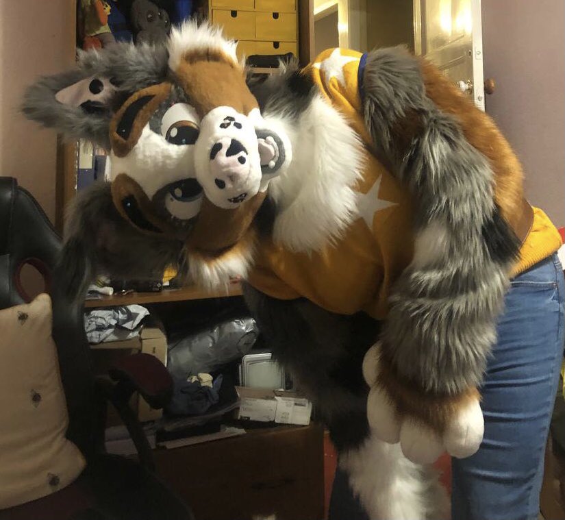 searathewolf's tweet photo. More photos of him before he was glued too https://t.co/7ljd6mBwjp