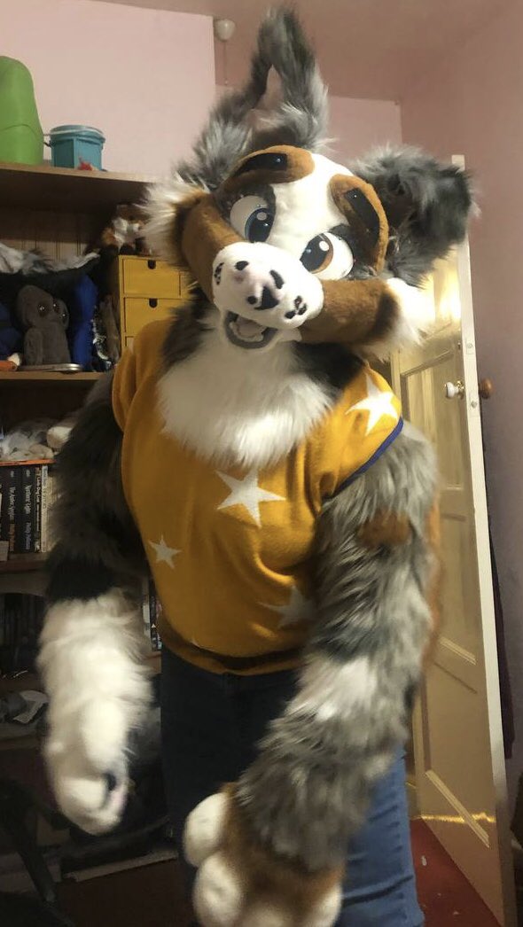 searathewolf's tweet photo. More photos of him before he was glued too https://t.co/7ljd6mBwjp