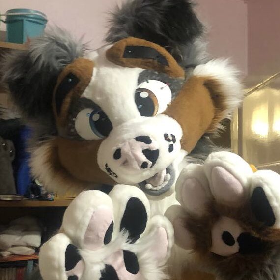 searathewolf's tweet photo. More photos of him before he was glued too https://t.co/7ljd6mBwjp
