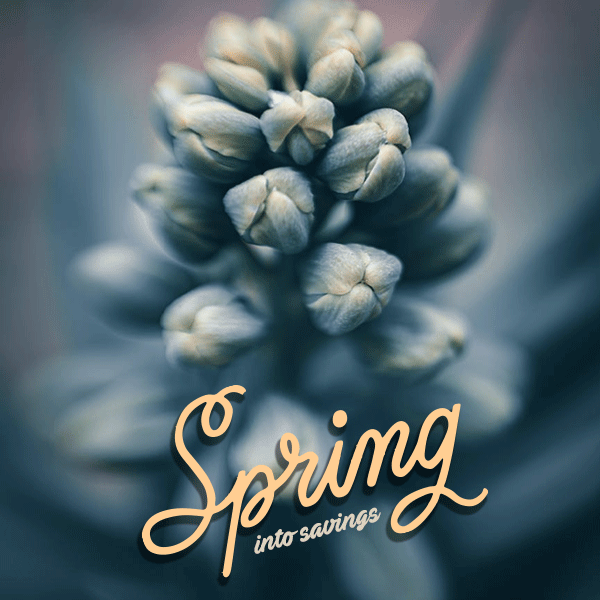 BMWofMobileAL's tweet photo. Join us on Saturday, March 19th for our Spring Service Savings Event!

Date: Sat, Mar 19
Service Time: 8am-5pm
Appointments: https://t.co/MEtmeFOLYs

4 Wheel Alignment Special $159.95 (Reg. $199.95)
All Tires Special $15.00 (Above our cost)
&amp; more

Restrictions may apply https://t.co/tJeXa0KzX1
