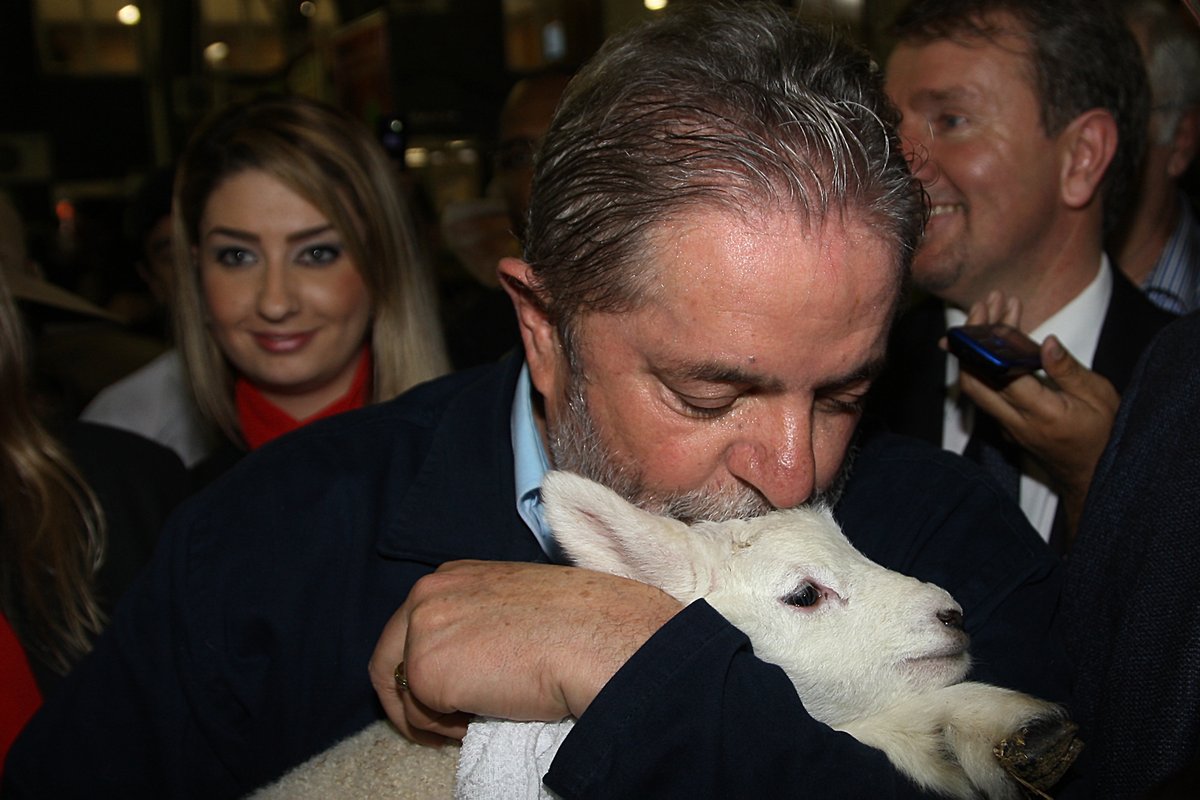 inst_lula's tweet image. Dia Nacional dos Direitos dos Animais: um bom motivo pra gente postar o @LulaOficial beijando um carneirinho. 

📷: Ricardo Stuckert