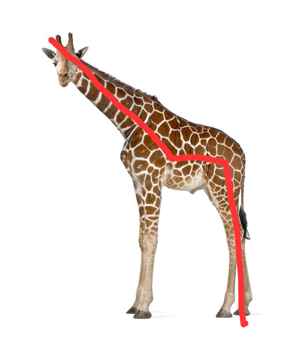 Asteroid half the size of a giraffe strikes Earth off the coast of