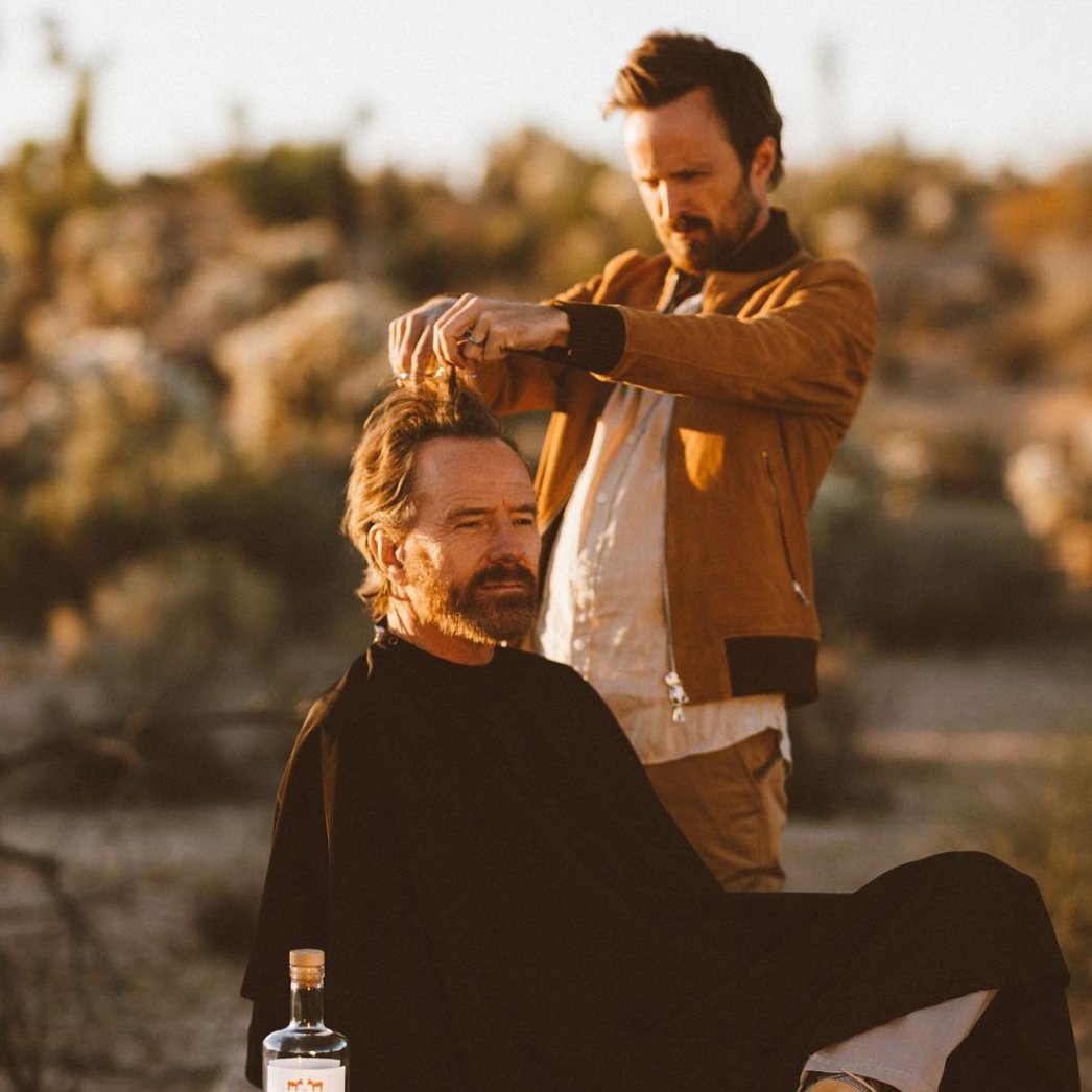 It's 2022, and Aaron Paul is still grooming Bryan Cranston., image size:1046x1046
