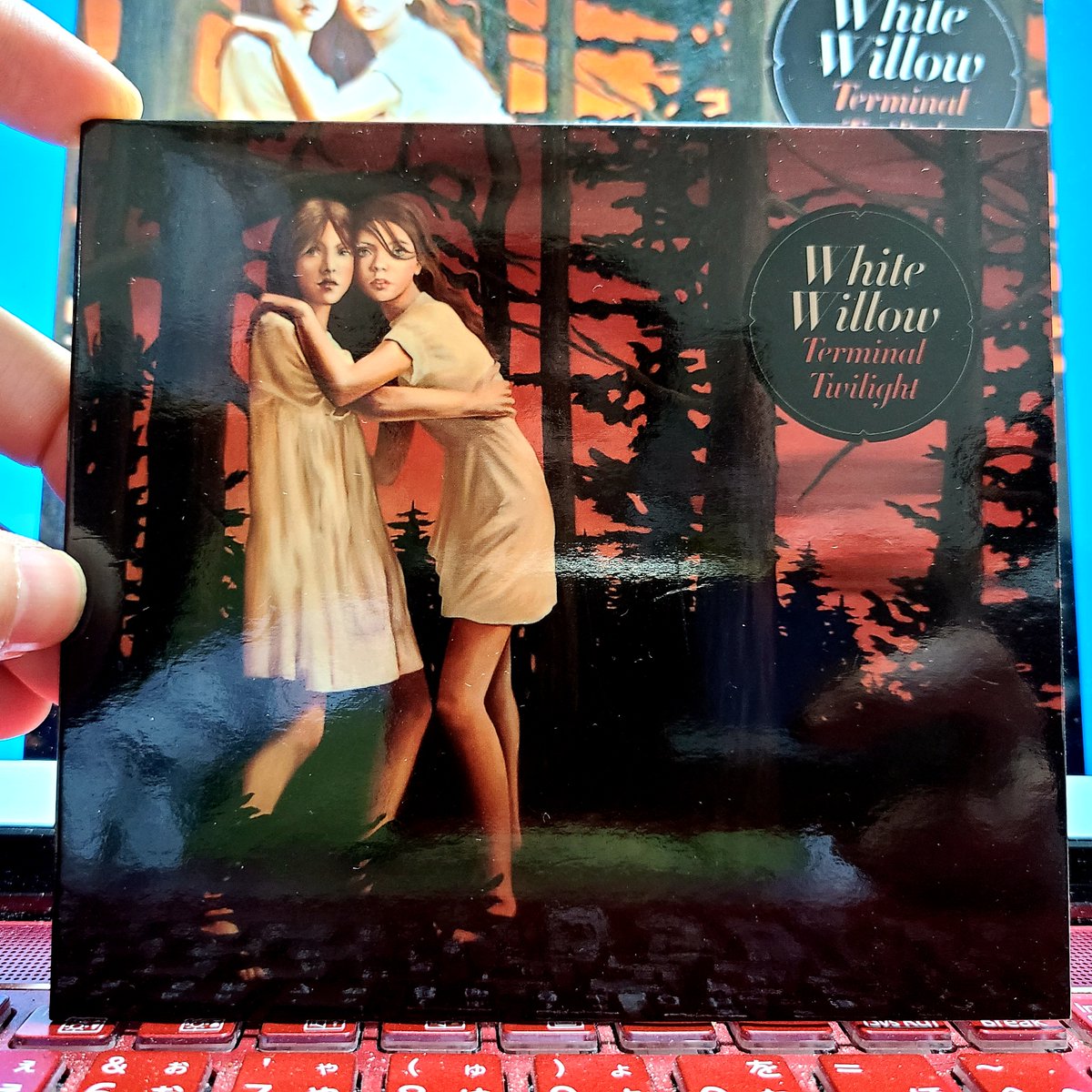 prognote_net's tweet image. おはようございます
ノルウェーのWhite Willowが
2011年発売6th「Terminal Twilight」
を聴こう

女性ボーカルSylvia Erichsen嬢と
ドラムMattias Olssonが復帰し
メロトロン等のヴィンテージ機材に
やや初期のフォーク系へ回帰し
憂さにダークさある最高傑作

北欧やシンフォ系を聴きたい方におすすめ