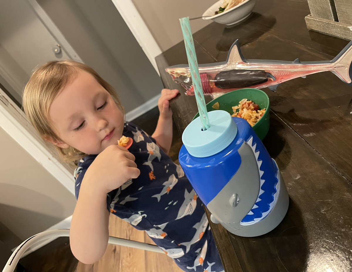 TexasSharks_JD's tweet photo. Nothing screams “My dad is a shark scientist” like eating dinner in my 

SHARK pajamas
      drinking out of my 
SHARK cup 
      while playing with my 
SHARK anatomy toy! 

🤣😎😍🦈🦈🦈🦈🦈🦈🦈🦈🦈🦈 #sharkboy #sharkscience #sharkdad https://t.co/CI5XcGM1Na