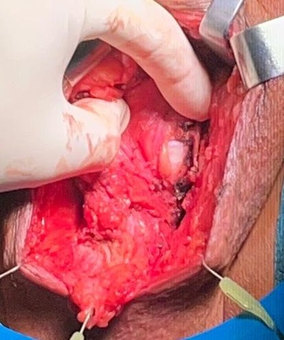 Dr. Argimiro Collado tweet media