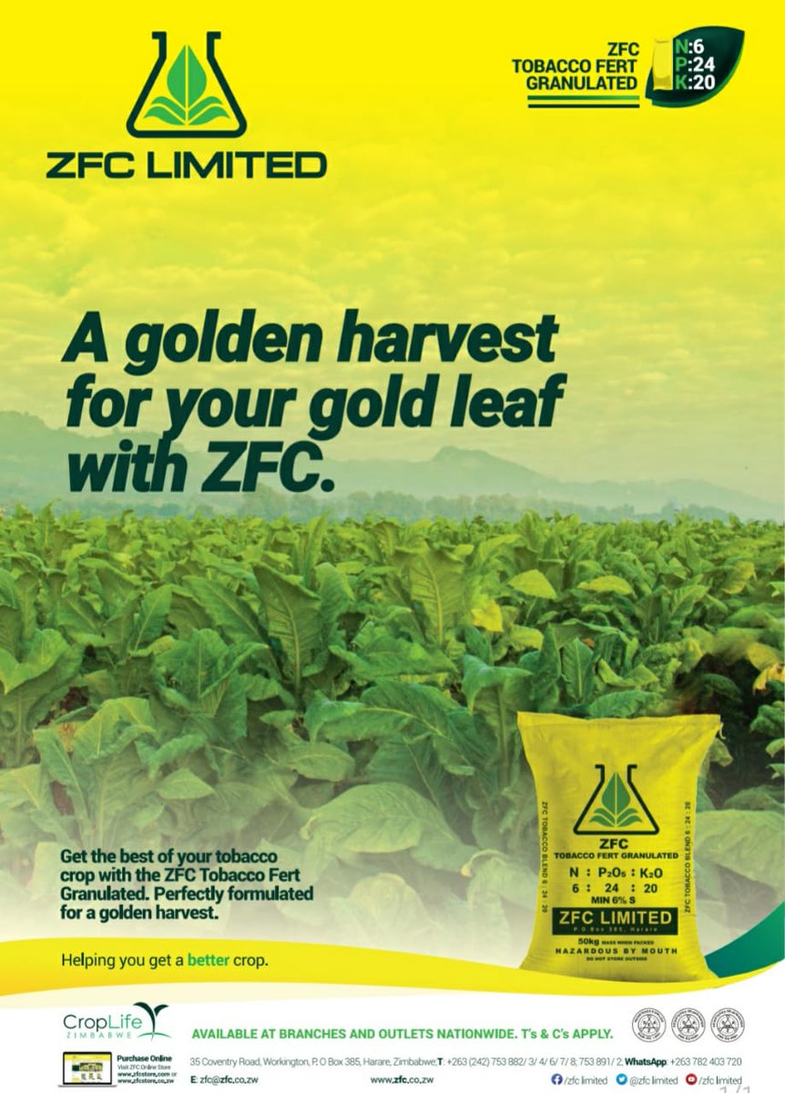 Expect the Gold Leaf, think ZFC. Tap into a golden harvest this season with ZFC.

#HelpingYouGetaBetterCrop
#ZFCTobaccoFert