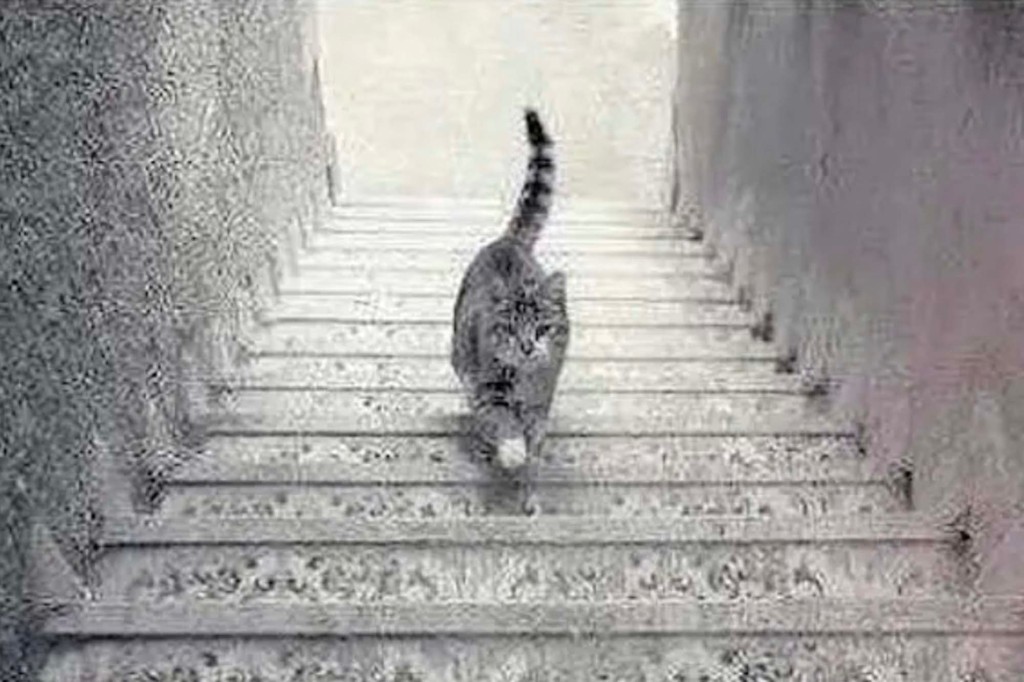 nypost's tweet image. This optical illusion reveals whether you're an optimist or a pessimist trib.al/4VrYZCX