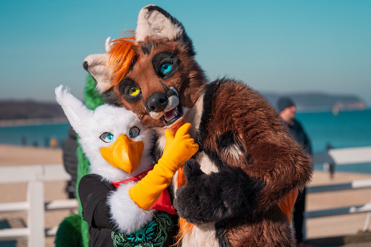 DoggoDeer's tweet photo. Doggo found Gdakonek at fursuitwalk in Sopot! Gdakon 2022. Such a cute tottaly-regular-sized creature ^_^ @GdakonPL 
#gdakon2022 #fursuitwalk

📷 @PhotoPanther https://t.co/qNwMxwaqr9