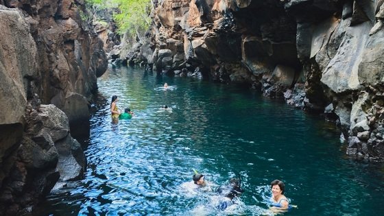 GoRaymi's tweet photo. Te presentamos los 8 atractivos turísticos naturales que no puedes dejar de visitar en Santa Cruz, Galápagos.
Conoce más en: https://t.co/frLvh023Yi
#GalápagosSantaCruz #SantaCruz #Galápagos #GoRaymi #Ecuador https://t.co/awGq7mZISg