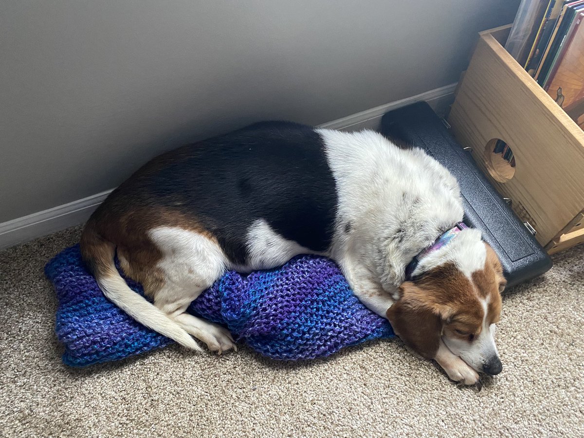 LonghillValley's tweet photo. sleepy baby https://t.co/qrhVEw7ZJ0