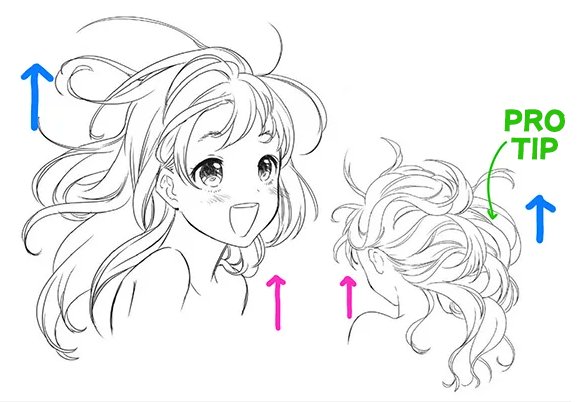 Anime Hair Drawing Reference and Sketches for Artists