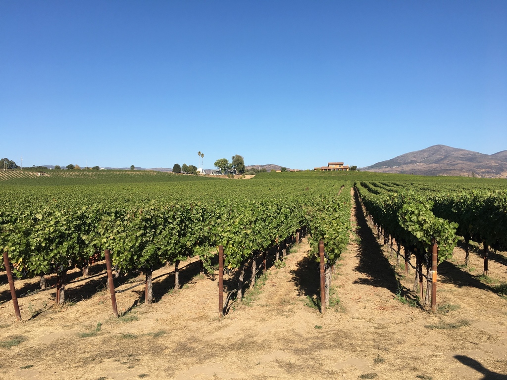 Views in Napa... 😍 What better place to attend a conference?