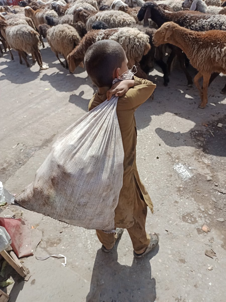 NaeemOpridai's tweet photo. زمونږه خدايئ نشته دې
مونږ ده خپل ځان رازقان
#اسد
A care taker and food's God of his family!
#BaraBazaar
1:45 pm https://t.co/f0dyuynquL