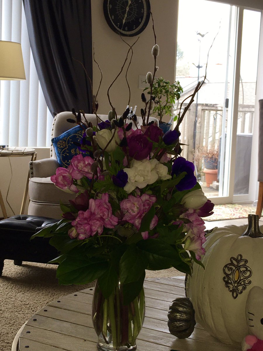 Jinny, Pixel and Otis thank you so much for the flowers they are beautiful I love the purple and pinks. Soon I will get Gwenie at the Rainbow Bridge. Thank you. <a href="/JinJinDoggy/">Jinny❤Otis, Daisy,Sadie, Daffy, Lily, Hurley</a> 😘