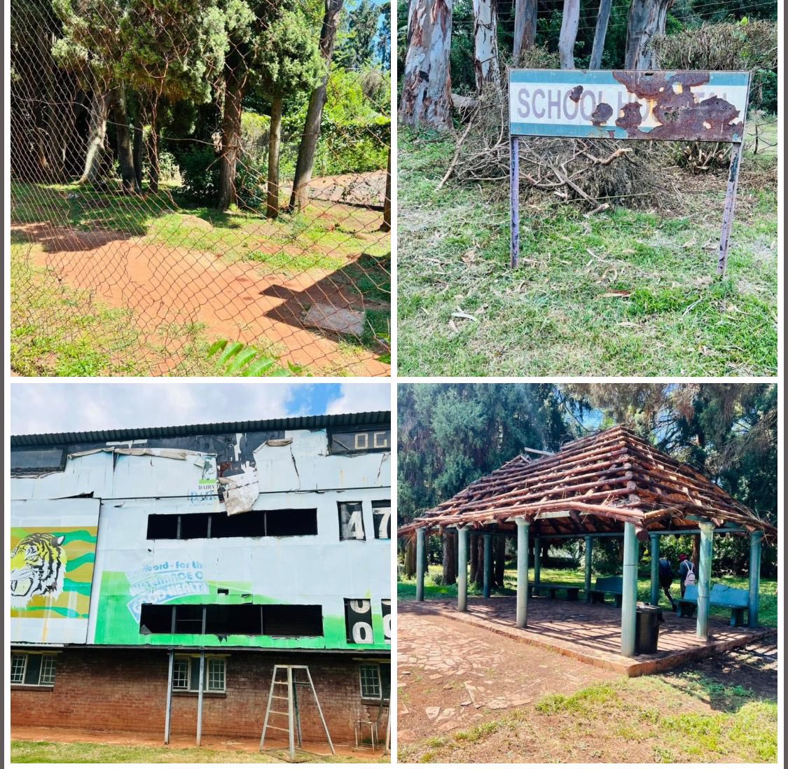 Hopewell Chin’ono tweet media