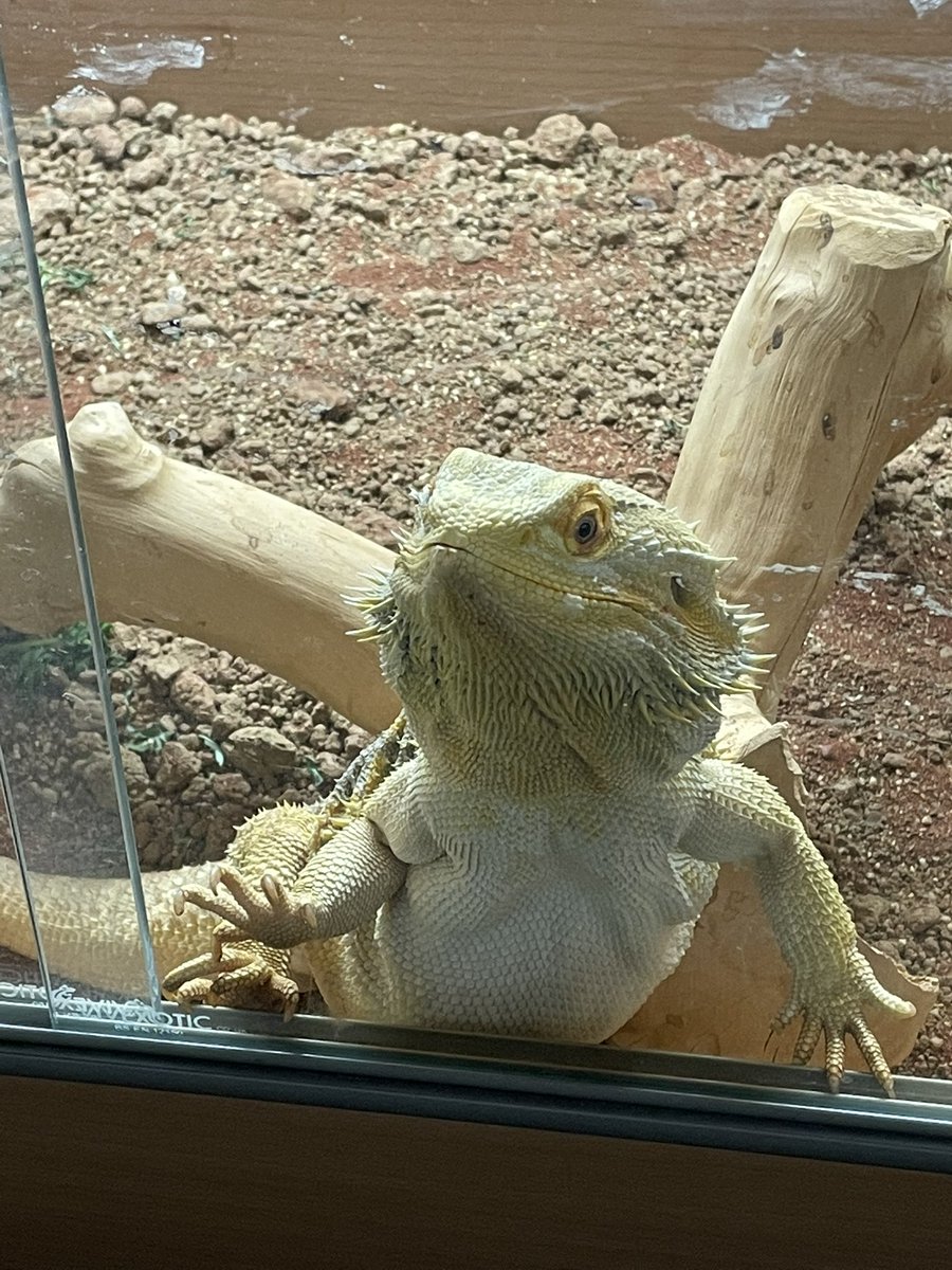 plingwood's tweet image. When you get the feeling that someone is watching you