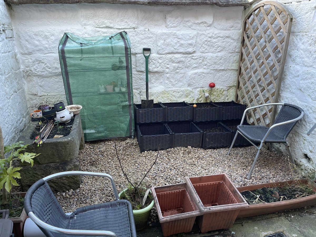 ecofriendlytwin's tweet photo. We now have trellis and chairs! I want to start planting, but what will grow well in my pots and planters? #gardening #allotment #microgarden https://t.co/yt9Zx7o62v