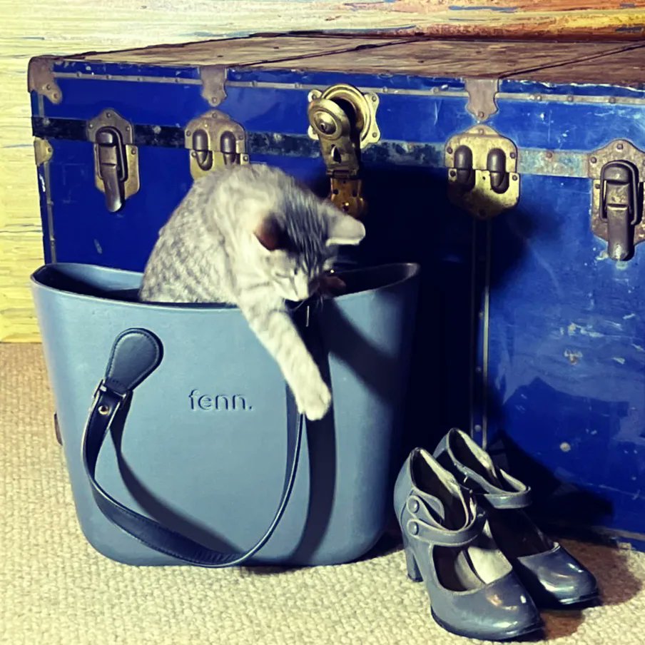 YolandaBotha_SA's tweet photo. The cat is out of the bag... I am absolutely FENN-atic about this bag, This bag is FENN-tastic and FENN-omenal and you will have a bag FENN-ever !!! #fenncollection #foreverfenn @MrsSAPageant #mrssa2022semifinalist #weareglorious #SheIsBonaFide https://t.co/xlh65jJDWj