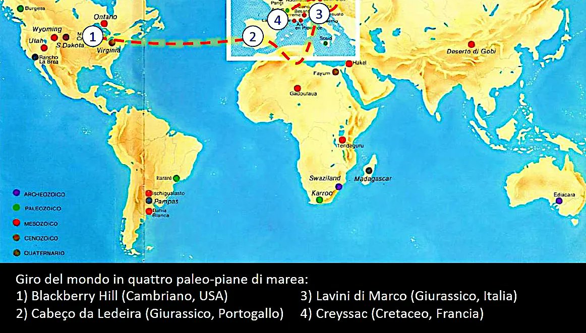 ABaucon's tweet photo. I am teaching a #palaeoecology course at the #University of #Genova (#distav). For each depositional environment, 4 palaeontological sites are given as case studies. Here is the lecture about #tidal flats: https://t.co/GI8bXjzNGe https://t.co/W4fHcrCHdB