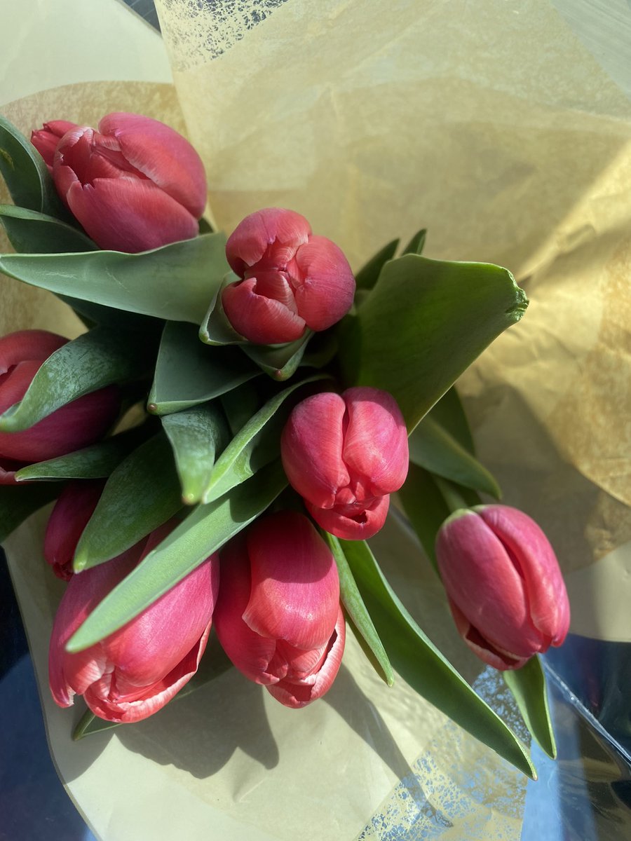MzFrancesFX's tweet photo. Bought some tulips.. #SpringTimeFeeling ๐๐ท๐ https://t.co/sto2xAfpqO