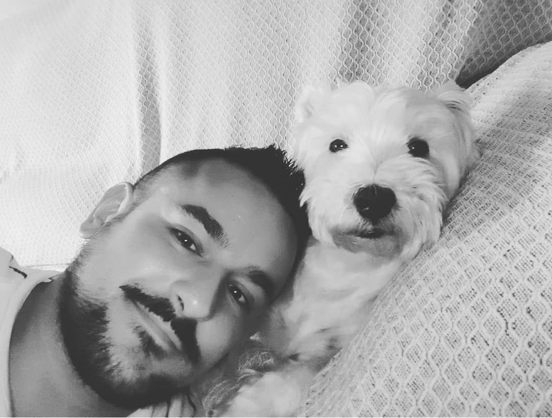 peter parker tweet media