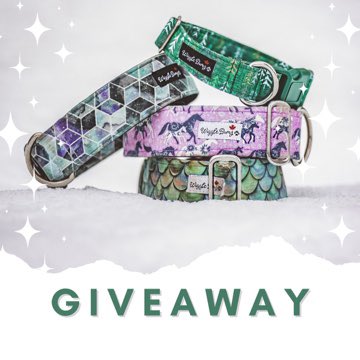 Cattle Dogs & Company tweet media