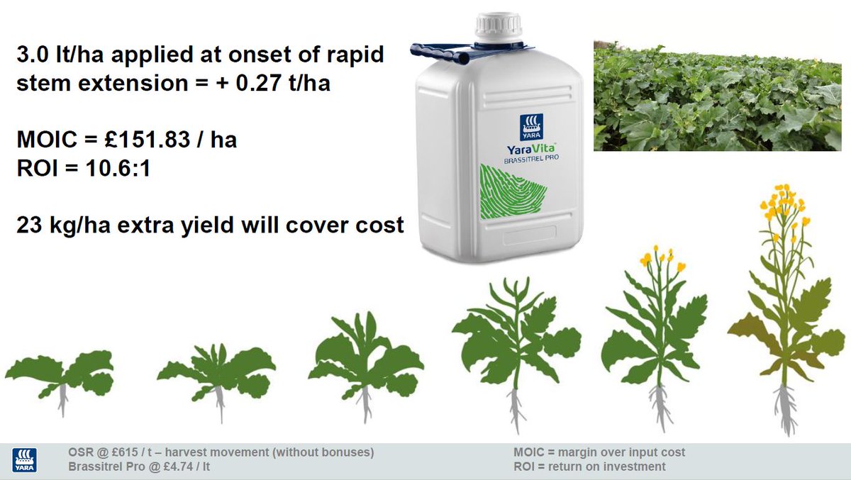 cricketandcrops's tweet image. Since this was published, oilseed rape prices have risen considerably with £615/t for harvest

Just 23 kg/ha will cover cost of 3.0 lt/ha vs long term average of 270 kg/ha !!!

Surely it's a no brainer to apply Brassitrel Pro with your oilseed rape crop🚜

yara.co.uk/crop-nutrition…