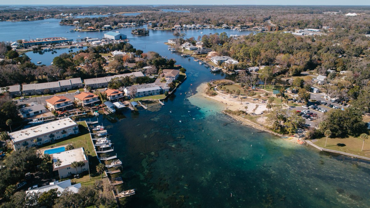 PlayHardFlorida's tweet photo. King's Bay from up high
#playhardflorida #howdoyouplay #protectwhereweplay https://t.co/yZqFPQ2xbS
