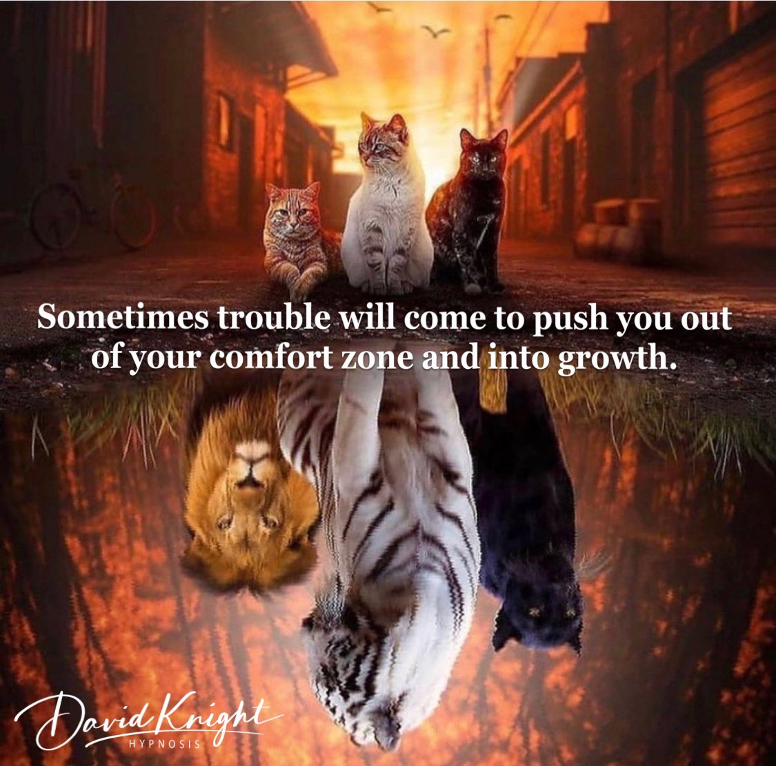 KnightHypnosis's tweet image. Join me in April on a 28 Day Challenge. Free Audio and Ebook to begin your Empowerment Journey. 
DavidKnightHypnosis.com #lifestyle #life #lifeempowerment #Hypnosis #lifecoach #lifecoaching #hypnotherapy