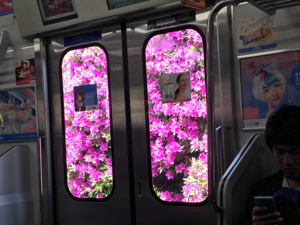 Archillect (@archillect) on Twitter photo 