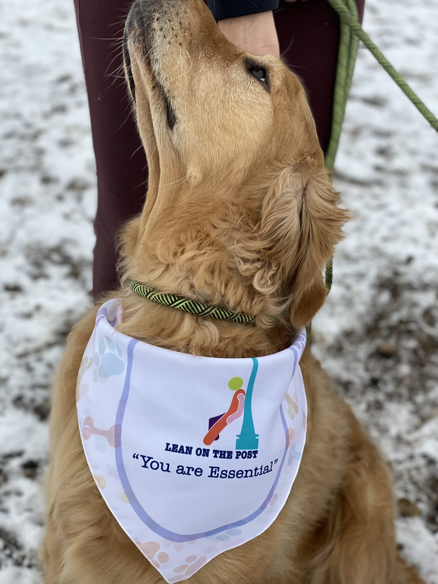 EnactusMHC's tweet photo. #Leanonthepost Launch 1 

Pet’s can be a vital resource for mental health. For some people pets are their calm presence and studies show that pet’s can support human’s mental health. https://t.co/On6AsXlzS7