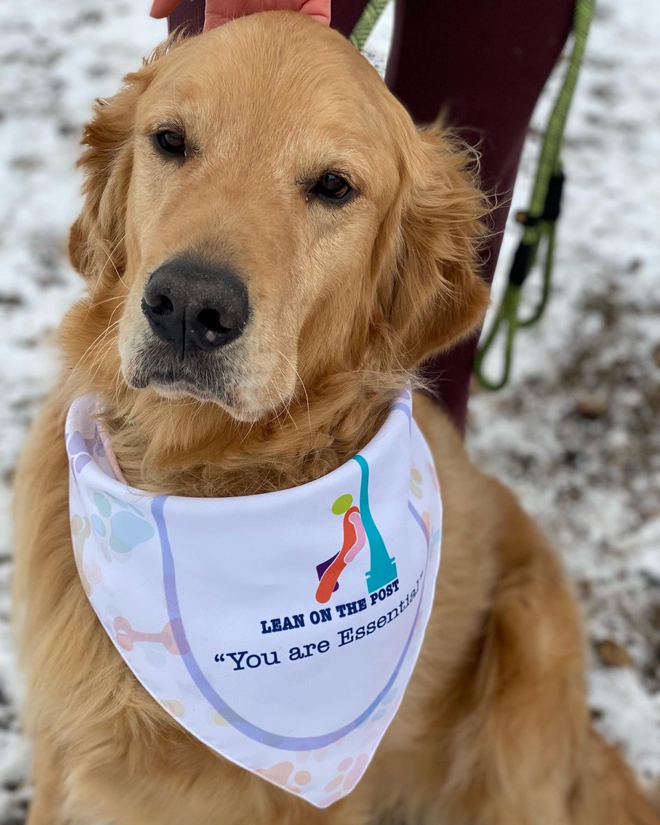 EnactusMHC's tweet photo. #Leanonthepost Launch 1 

Pet’s can be a vital resource for mental health. For some people pets are their calm presence and studies show that pet’s can support human’s mental health. https://t.co/On6AsXlzS7