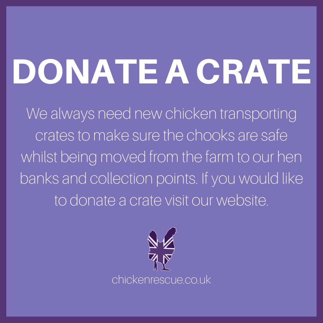 We always need new chicken transporting crates to make sure the chooks are safe whilst being moved. If you would like to donate a crate visit our website: bit.ly/35OYPj7
#chickenrescueuk #chickenrescue #rehomingchickens #rescuechickens