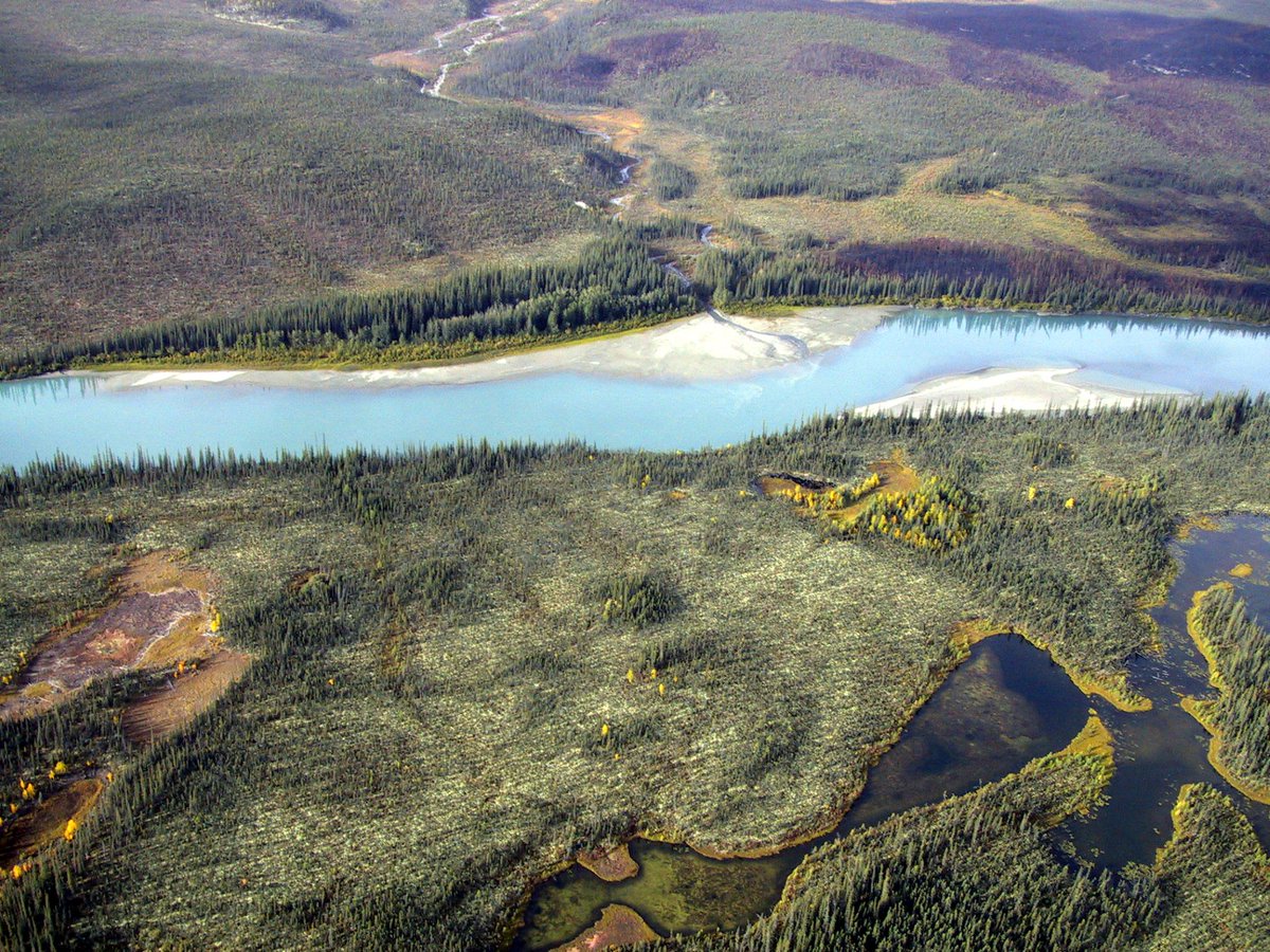 FishOceansCAN's tweet photo. Today is International Day of Action for Rivers!🏞️ We work hard to protect species at risk found in freshwater rivers across the country. Here’s how you can help: https://t.co/KvPA1ouP23 #RiversUniteUs #DayofAction2022

📸: Doug Watkinson https://t.co/gemLKLN5mB