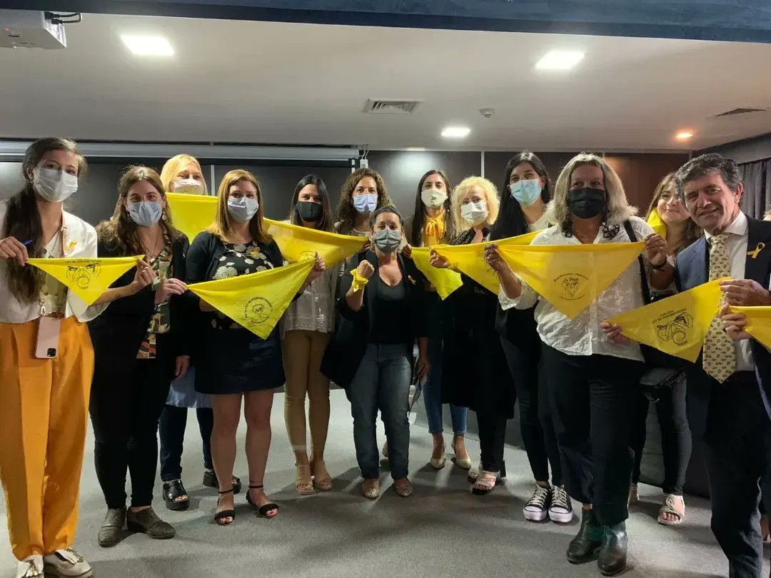 JorCardoso06's tweet photo. 💛 Entre las y los presentes, contó con la dip. Prov. y autora de dos proyectos de ley sobre esta patología @Debogalan. 

Este trastorno ocurre cuando las células del revestimiento de la matriz, crecen en otras zonas del cuerpo. https://t.co/FCjKcocSuA