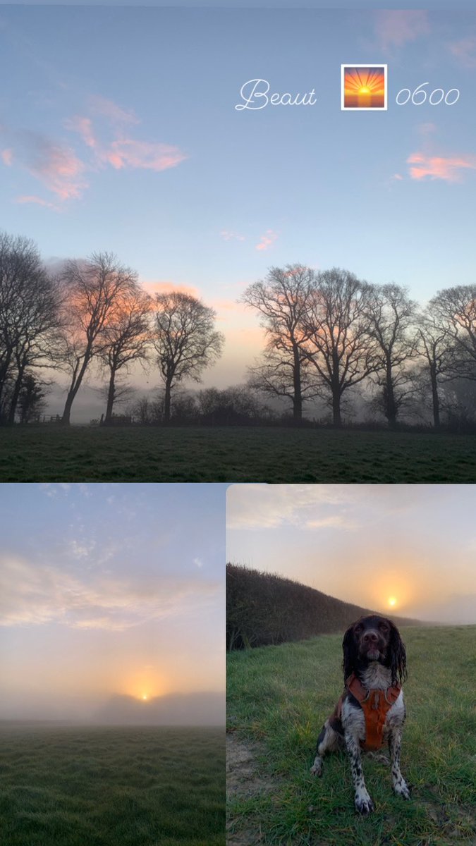 DGame3's tweet photo. Beautiful sunrise 🌄 West Sussex https://t.co/qv41LkOiE0